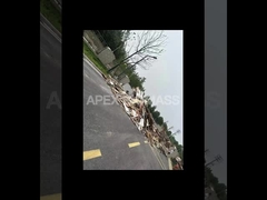 Línea de producción de pellets de madera de biomasa de tipo CPM 20T/H con baja energía